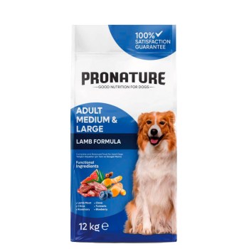 005-4156-2025-03-231