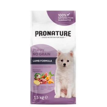 010-4156-2025-03-234